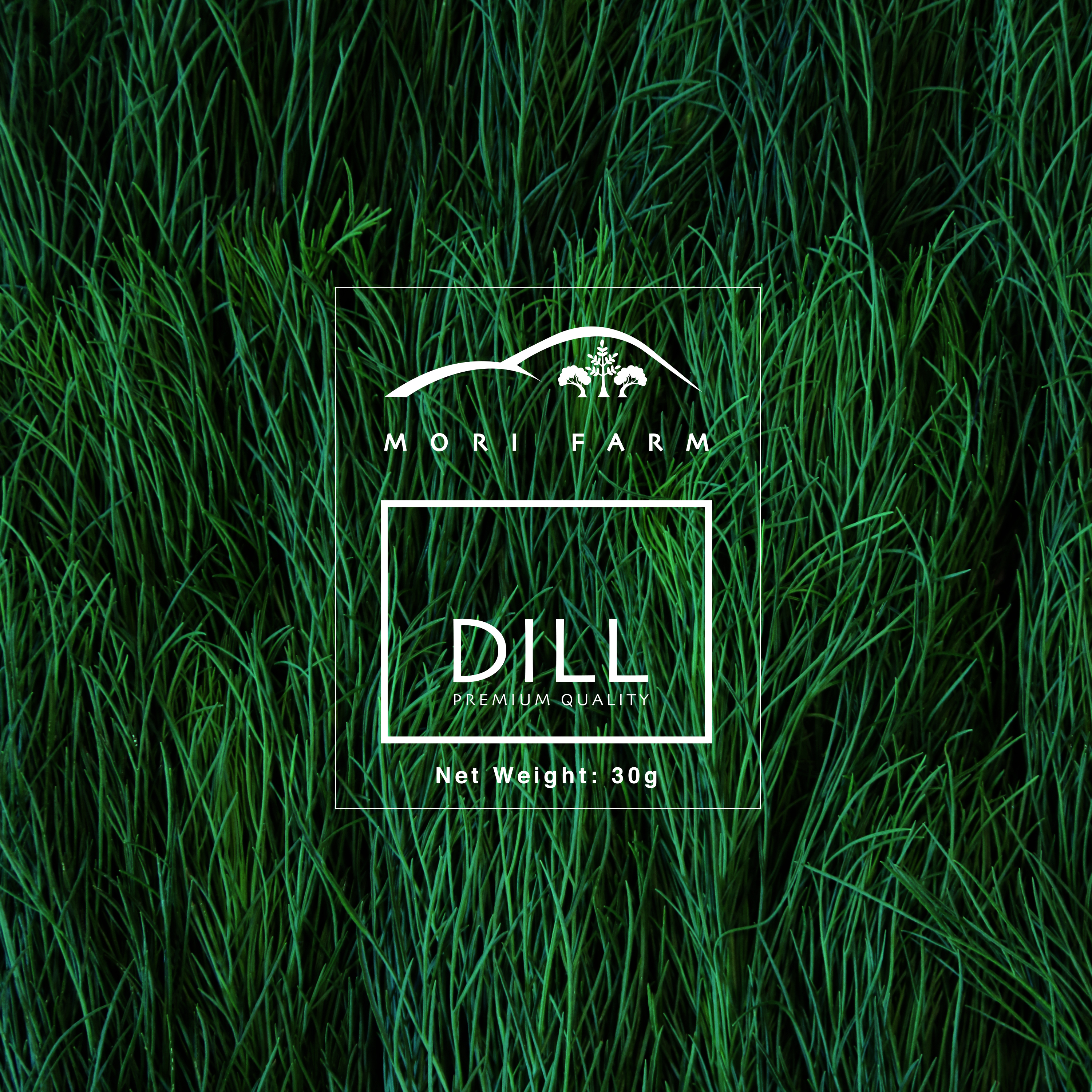 Dill